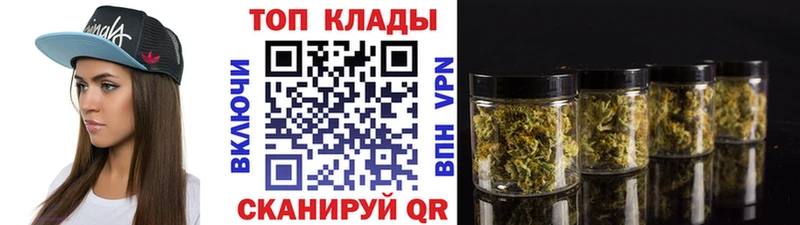 Магазины продажи наркотиков Заречный Кокаин  АМФ  КЕТАМИН  Мефедрон  Гашиш 