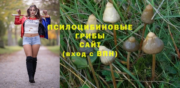 PSILOCYBIN Аркадак