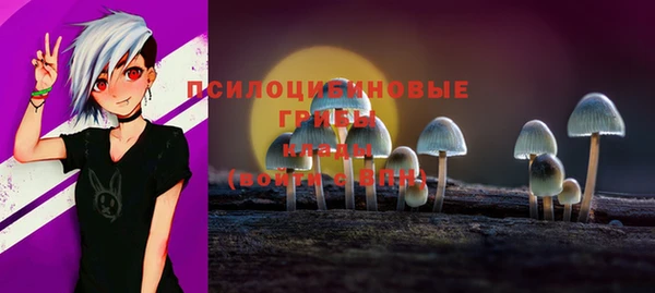 PSILOCYBIN Аркадак