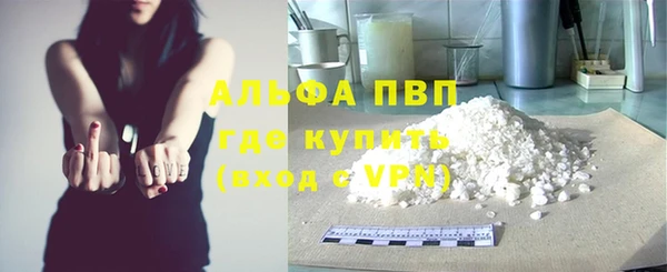 PSILOCYBIN Аркадак
