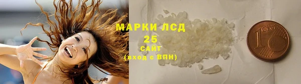 PSILOCYBIN Аркадак