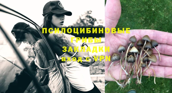 прущая мука Арсеньев