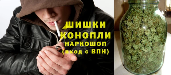 PSILOCYBIN Аркадак