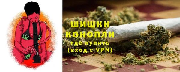 PSILOCYBIN Аркадак