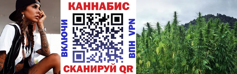 дарнет шоп  Заречный  Канабис семена 